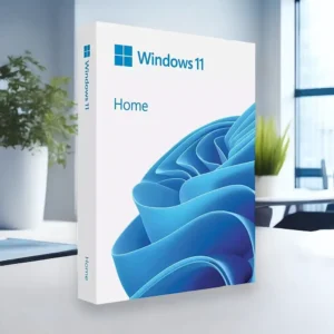 Microsoft Windows 11 Home
