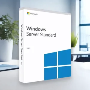 Microsoft Windows Server 2022 Standard